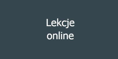 lekcje online